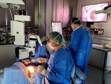 247204270 267982398586182 3742068885297535109 n 247204270 267982398586182 3742068885297535109 n